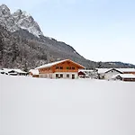 Alpenveilchen * Grainau